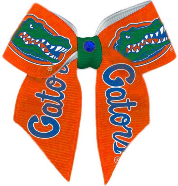 University of Florida Dog Hair Bow