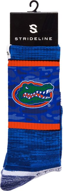 University of Florida Nike Air Zoom Pegasus 40 Shoes