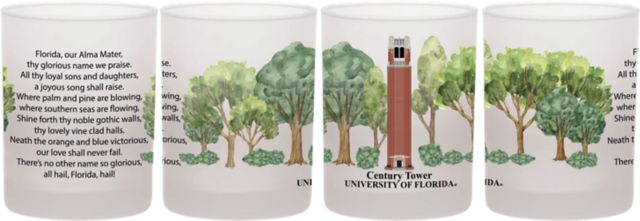 University of Florida 14 oz. Frosted Rocks Glass