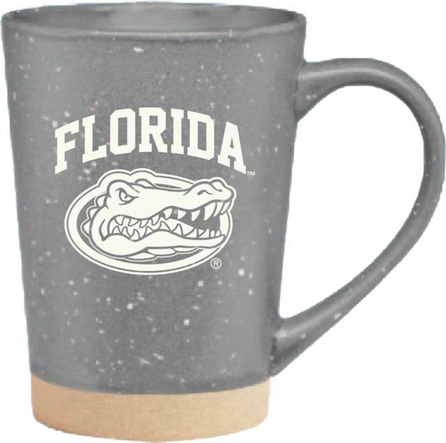 University of Florida 16 oz. Earthstone Mug