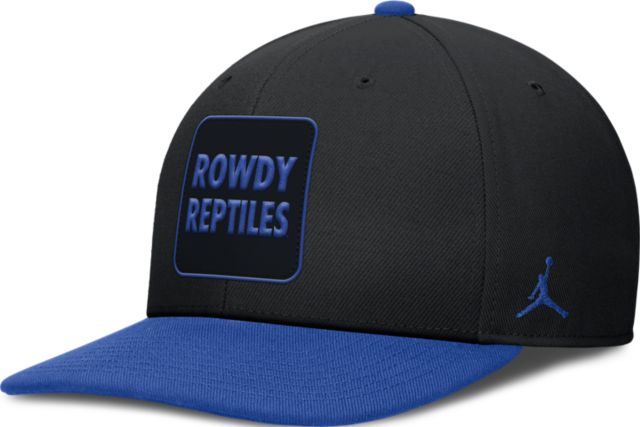 University of Florida Gators Jordan Dri-Fit  Pro Snapback Cap