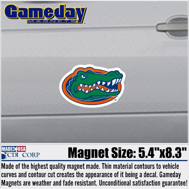 University of Florida Gators 6'' Magnet