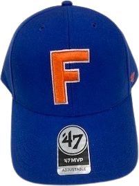 Male Florida Gators Royal Blue Custom College Football Limited