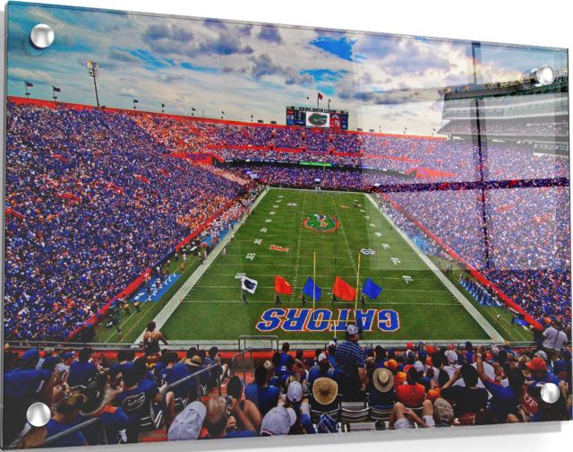 Steve Spurrier Field Acrylic Wall Art 16 x 24