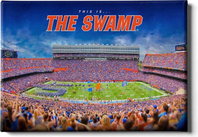 University of Florida 24 x 16 in. The Swamp Canvas Print