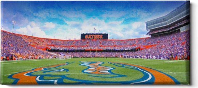 University of Florida 36'' x 16'' Print Canvas