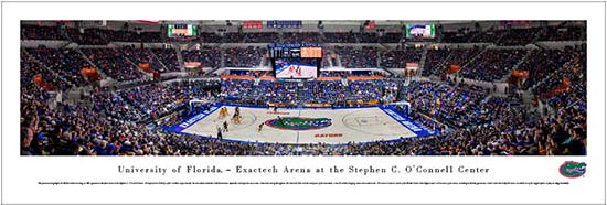 University of Florida 13.5"x40'' Print