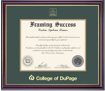 College of DuPage 7'' x 9'' Windsor Diploma Frame