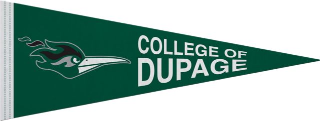 College of DuPage 9"X24" Full Color Pennant