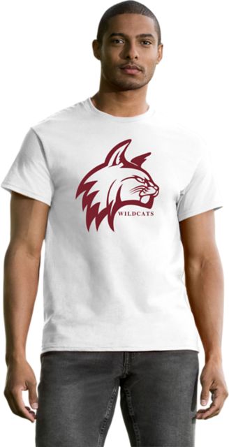 Bay Path University Women's Long Sleeve T-Dhirt