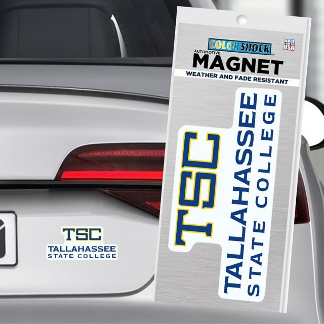 Tallahassee State College 4x4 Small Eagles Magnet