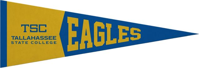 Tallahassee State College 5x15 Pennant