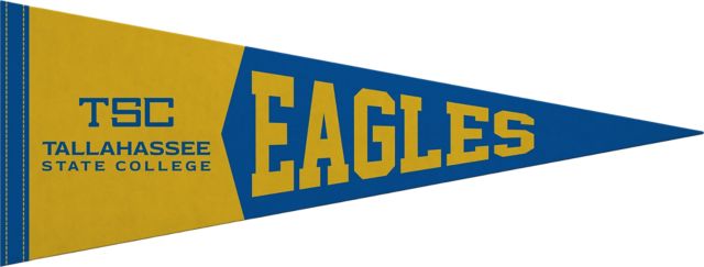 Tallahassee State College 9x24 Pennant