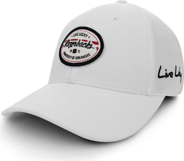 Arkansas Razorbacks Force Fitted Hat