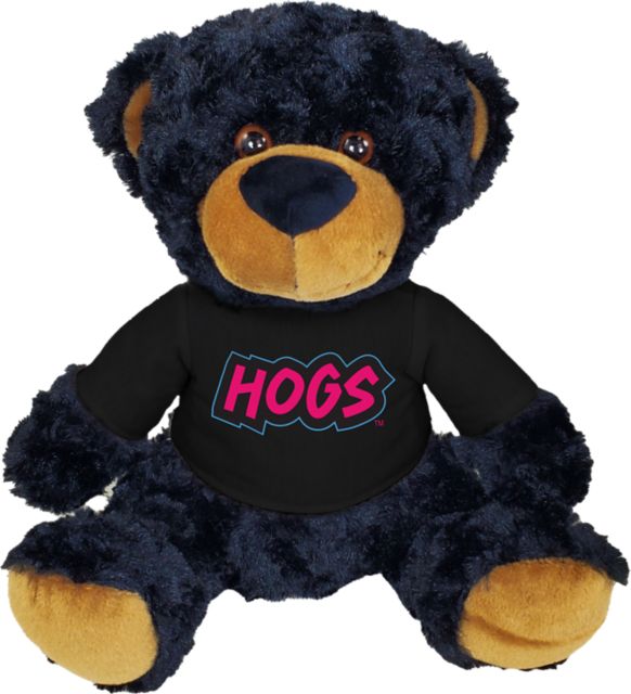 Arkansas Razorbacks 10'' Plush Bear