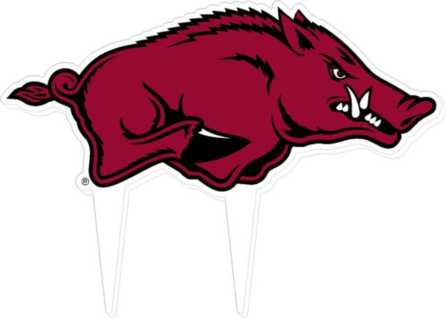 Arkansas Razorbacks Garden Guard Sign