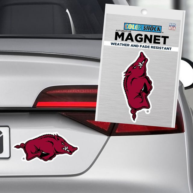 Arkansas Razorbacks 6" x 6" Magnet