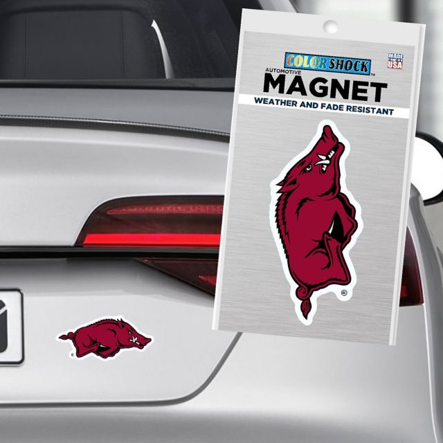 Arkansas Razorbacks 4" x 4" Magnet
