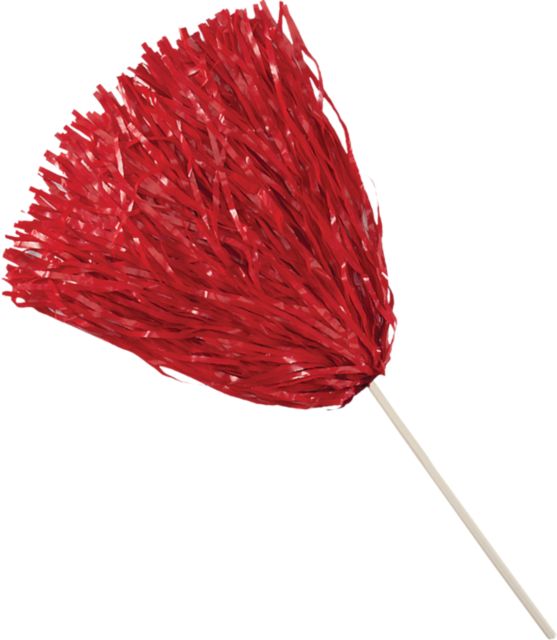 Arkansas Razorbacks Pom