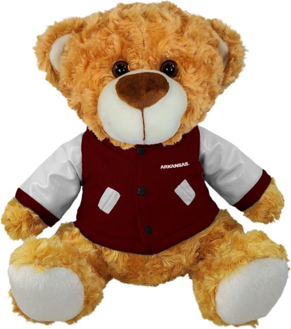 Arkansas Razorbacks 10" Plush Bear