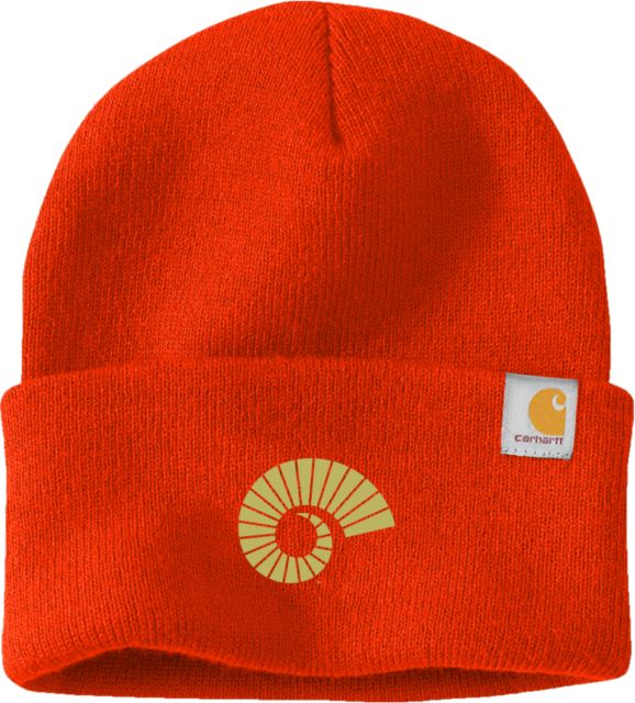 Colorado State Rams Carhartt Beanie