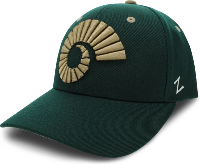 Colorado State Rams Ram Horn Competitor Adjustable