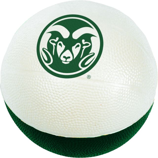 Large 6 Foam Basketball