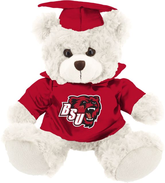 Bridgewater State University 10'' Graduation Bear