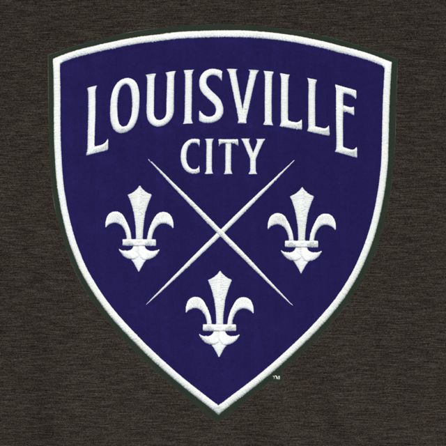 LouCity Athletic Arch_Ch Fleece Hoodie: Louisville City FC