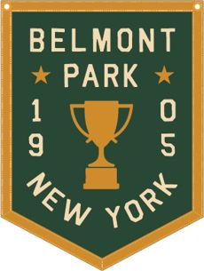 NYRA Belmont Park 18 x 24 Camp Flag