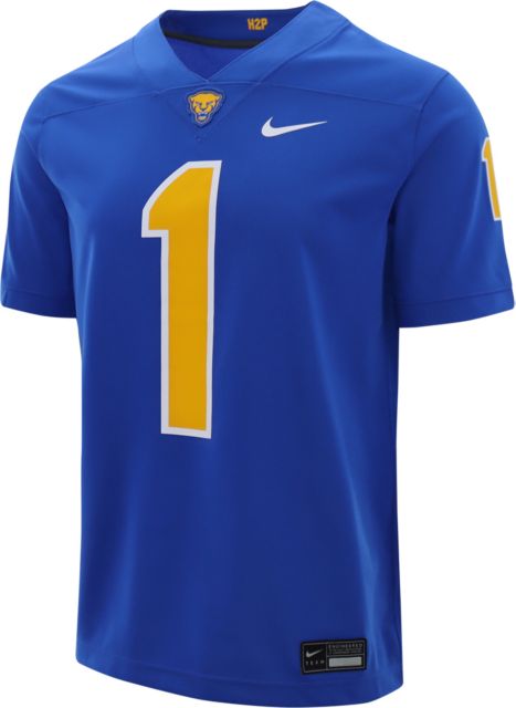 Fitzgerald 2025 pitt jersey