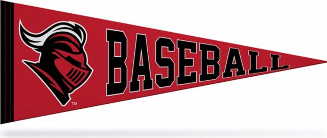 Rutgers Scarlet Knights Baseball 9x24 Pennant