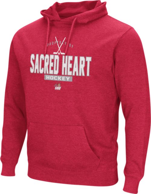 Sacred shop heart hoodie