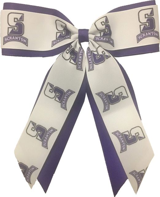 University of Scranton Child Cheer Pony