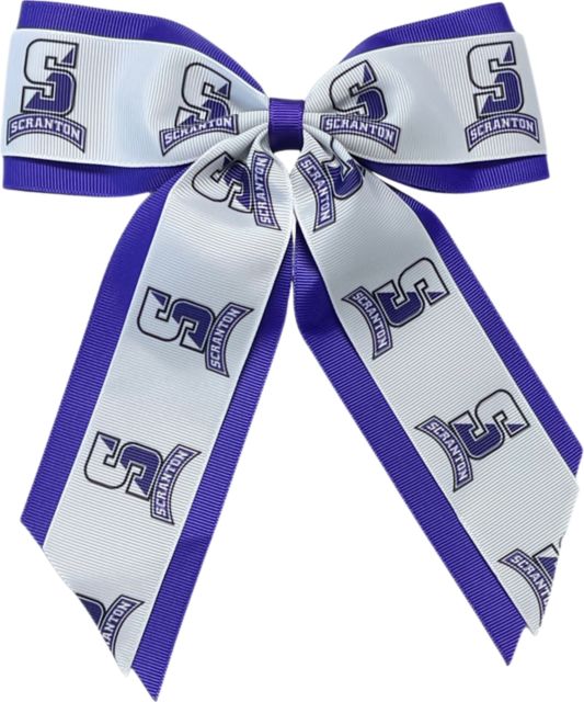 University of Scranton Child Cheer Pony