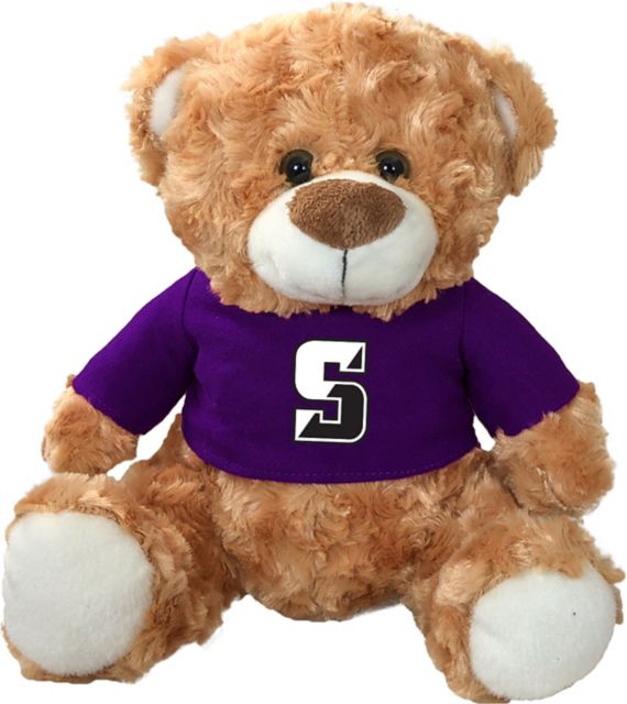 University of Scranton 10 in. Plush Bear