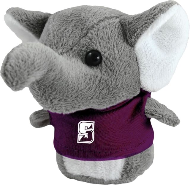 University of Scranton Royals Shorties