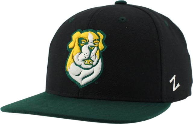 Siena University Saints Snapback Cap