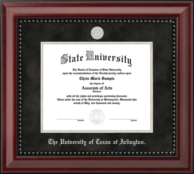 University of Texas at Arlington 11 x 14 in. Diploma Frame