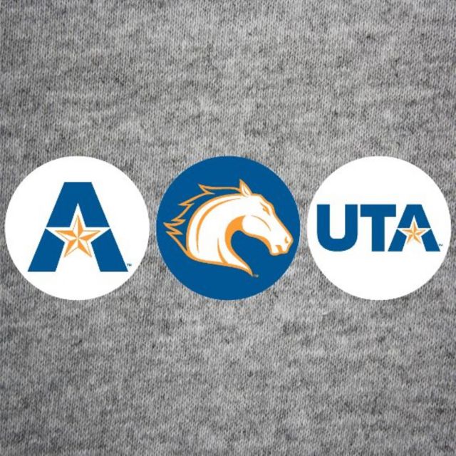 University of Texas at Arlington 3-Pack Mini Button