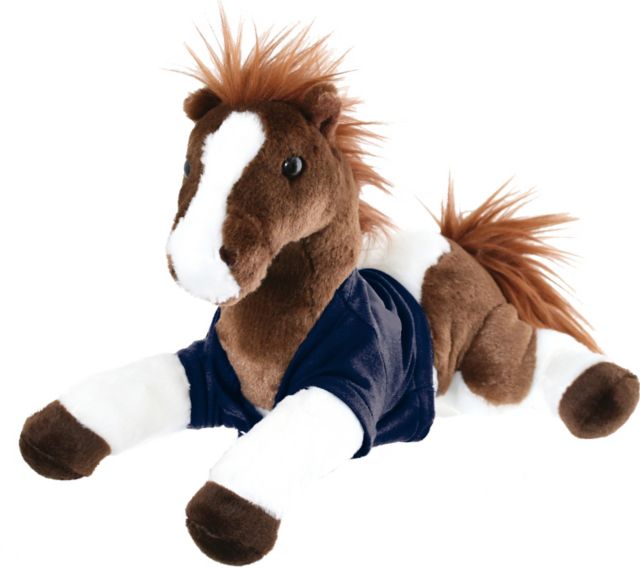 University of Texas at Arlington 12" Furry Friend