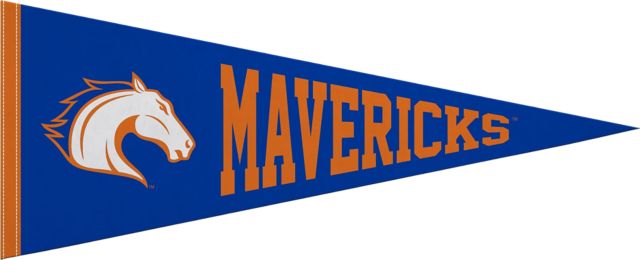 University of Texas at Arlington 12"X30" Full Color Pennant