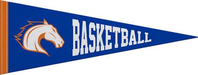 University of Texas at Arlington 9x24 Pennant