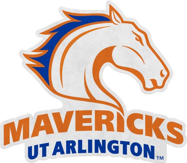 University of Texas at Arlington Mavericks 18x18 Pennant