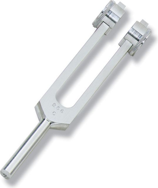 256 HERTZ FREQUENCY TUNING FORK WITH WEIGHTS