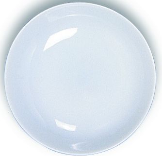 PORCELAIN WATERCOLOR DISH 3 INCH