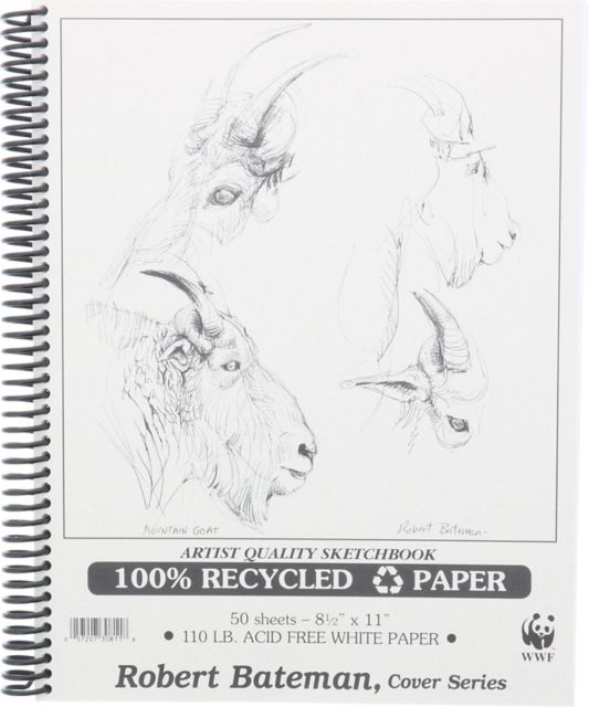 Bateman Recycled Sketch 50/Sheets 8.5X11