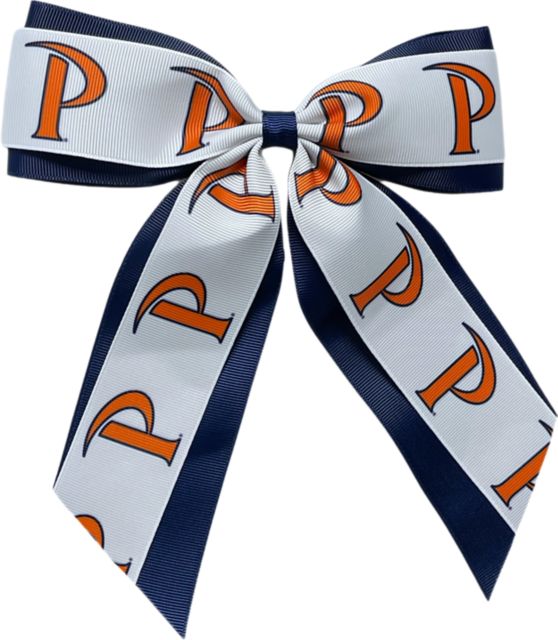 Pepperdine University Child Cheer Pony
