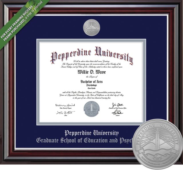 Framing Success Jefferson 11 x 14 Doc of Education/Psychology Diploma with Medallion and Double mat . *ONLINE/IN-STORE*