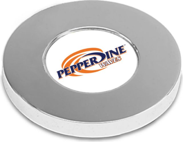 CSI Silver Paperwitheight (Gift Boxed) With Colored Medallion - ONLINE ONLY